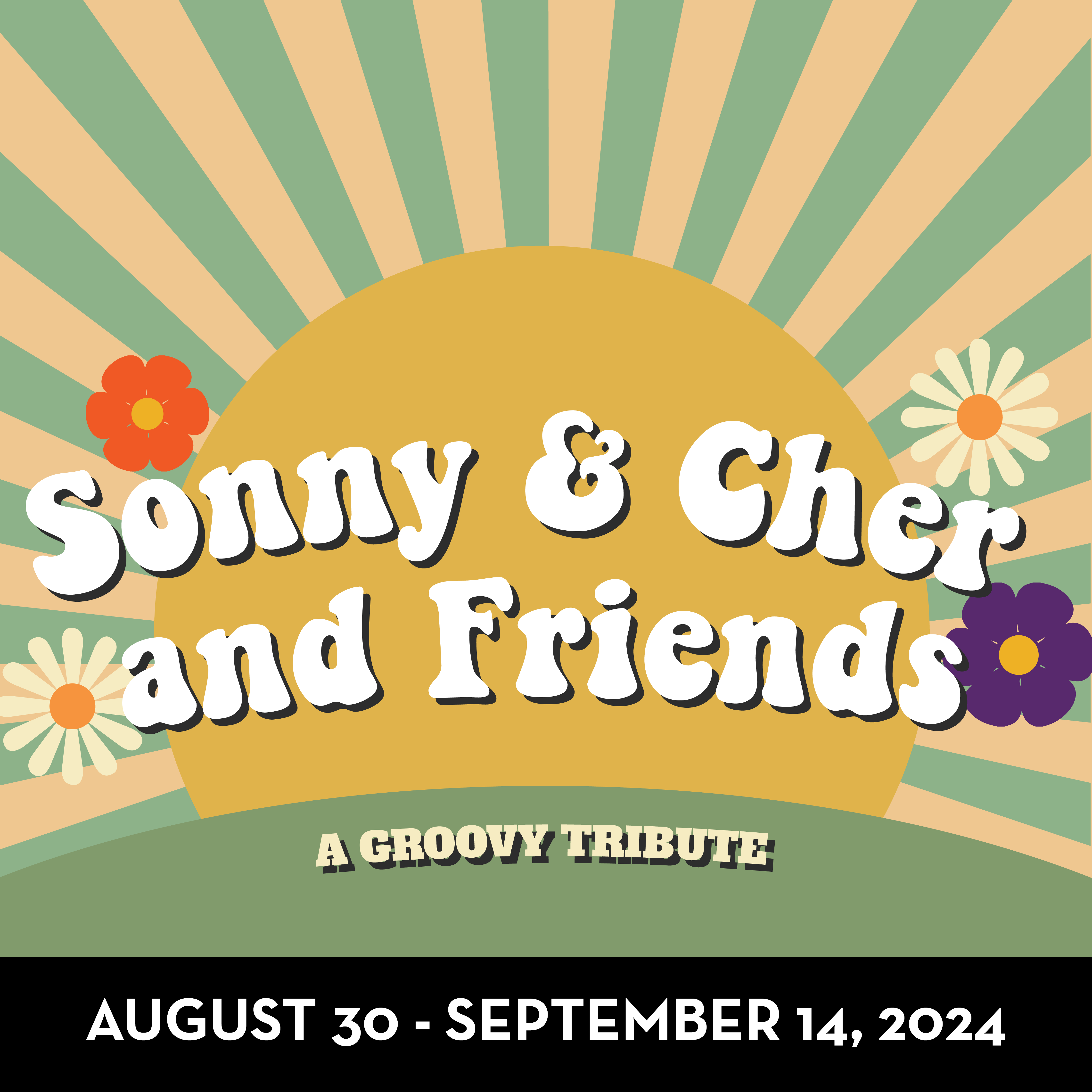 Sonny and Cher and Friends A Groovy Tribute Image