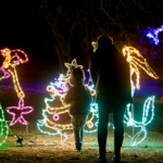 Gilbert Light festival