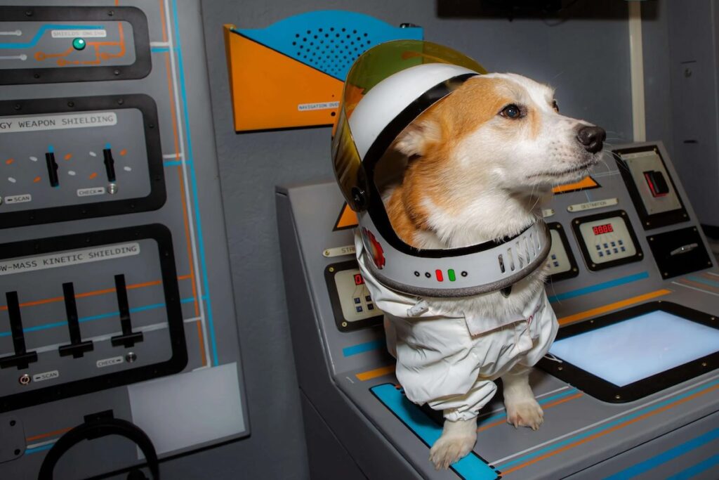 Dog in space suit at Escape Rooms Gilbert