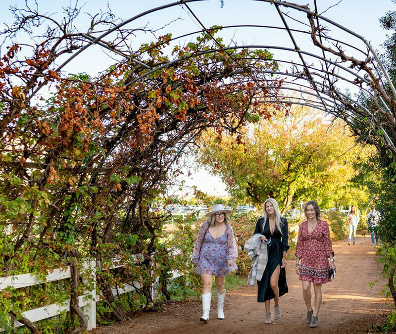 Free Farm Tour