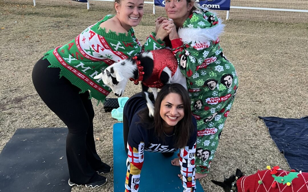 Ugly Christmas Sweater Goat and Alpaca Yoga