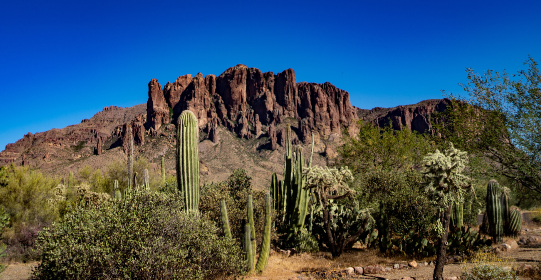 1st Day Hike at Lost Dutchman