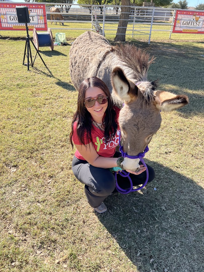 Donkey Brynly