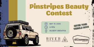Arizona Pinstripes Beauty Contest