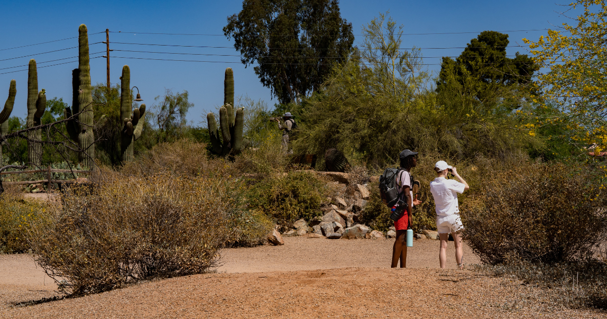 Gilbert Riparian Preserve 14