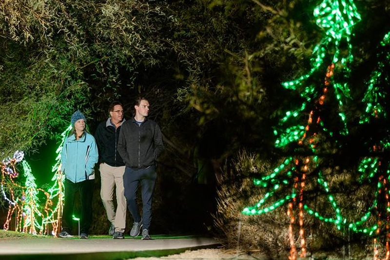 Holidays In Gilbert November Inset