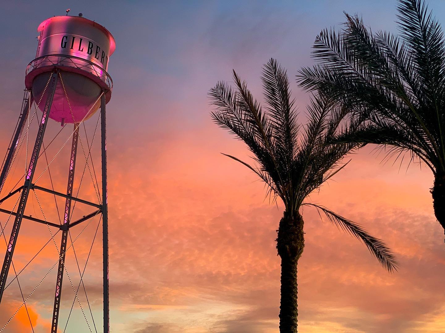 Arizonaskies1912 Instagram 1650 Ig 17874495619950384