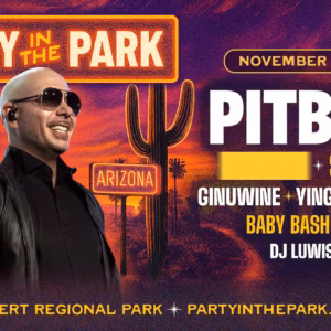 Party in the Park