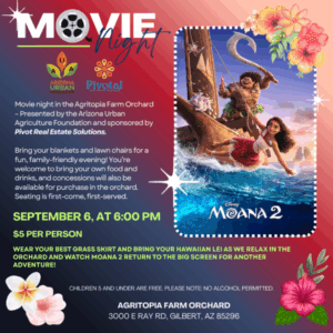 Moana 2