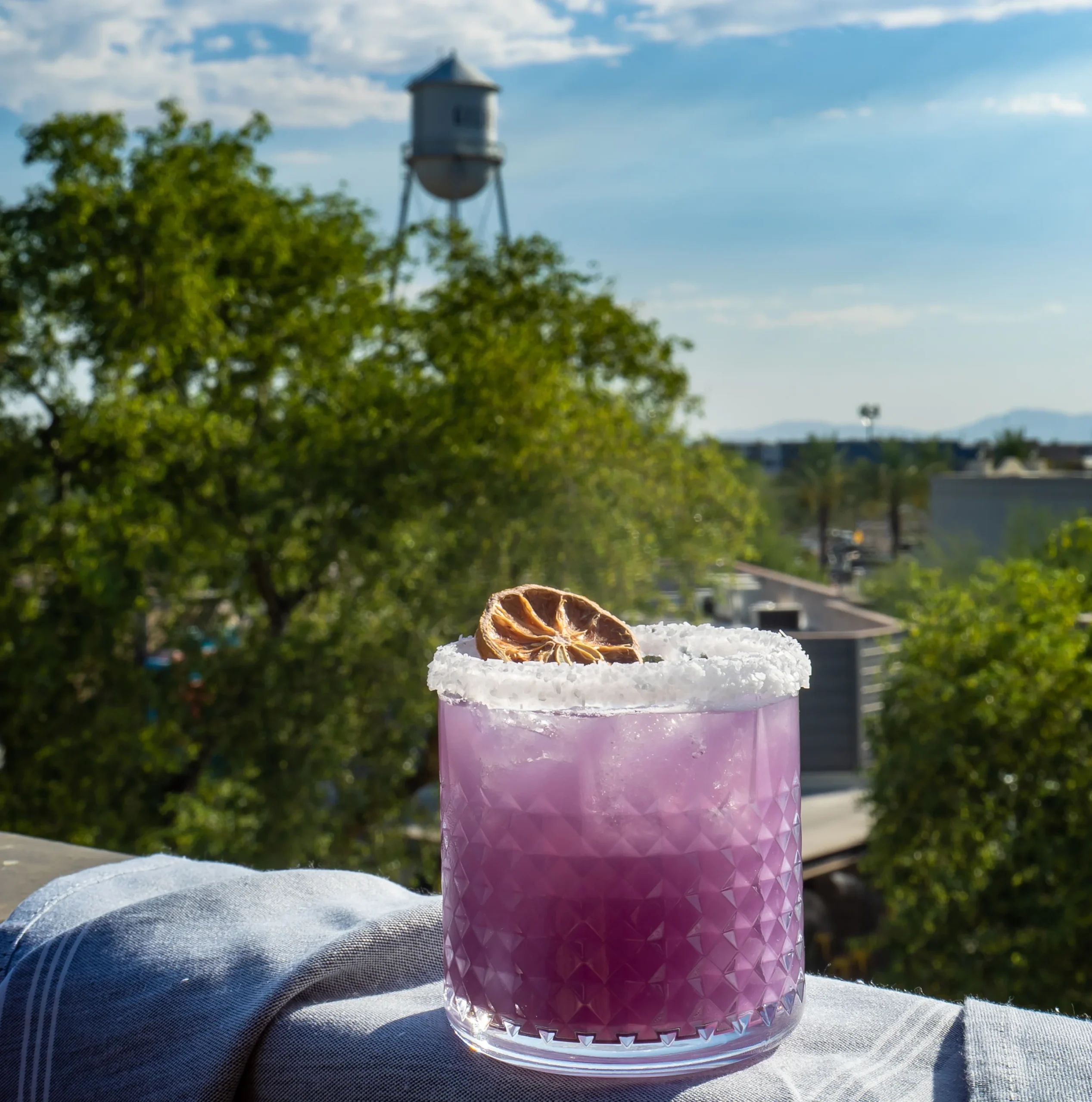 Sotol 2022 Foskett Creative 27