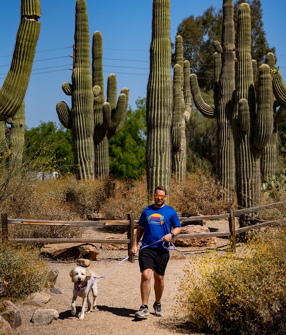 Section 5 Image 2 Gilbert Riparian Preserve Copy