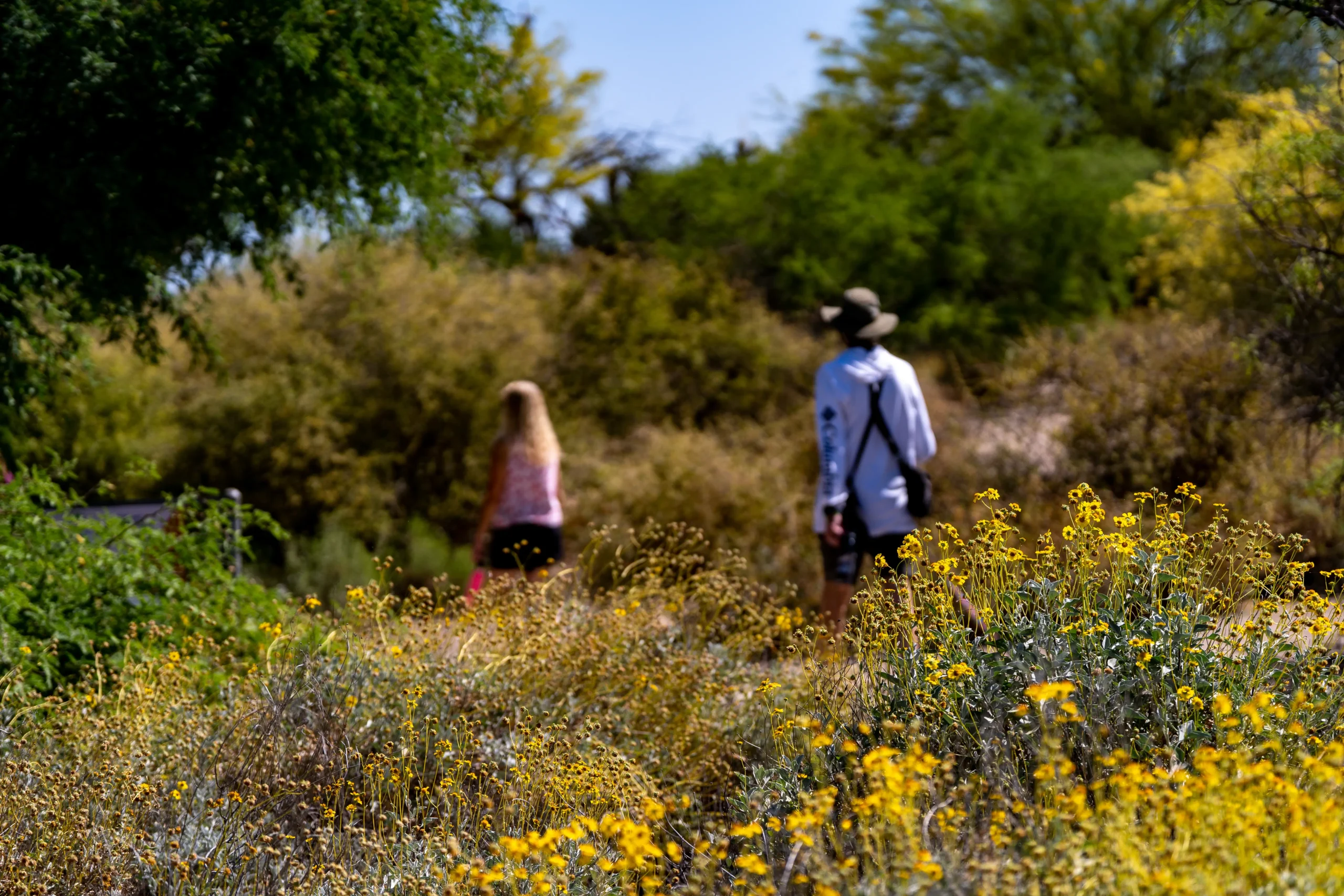 Pasea con la naturalista Sección 1 Imagen divisoria 1