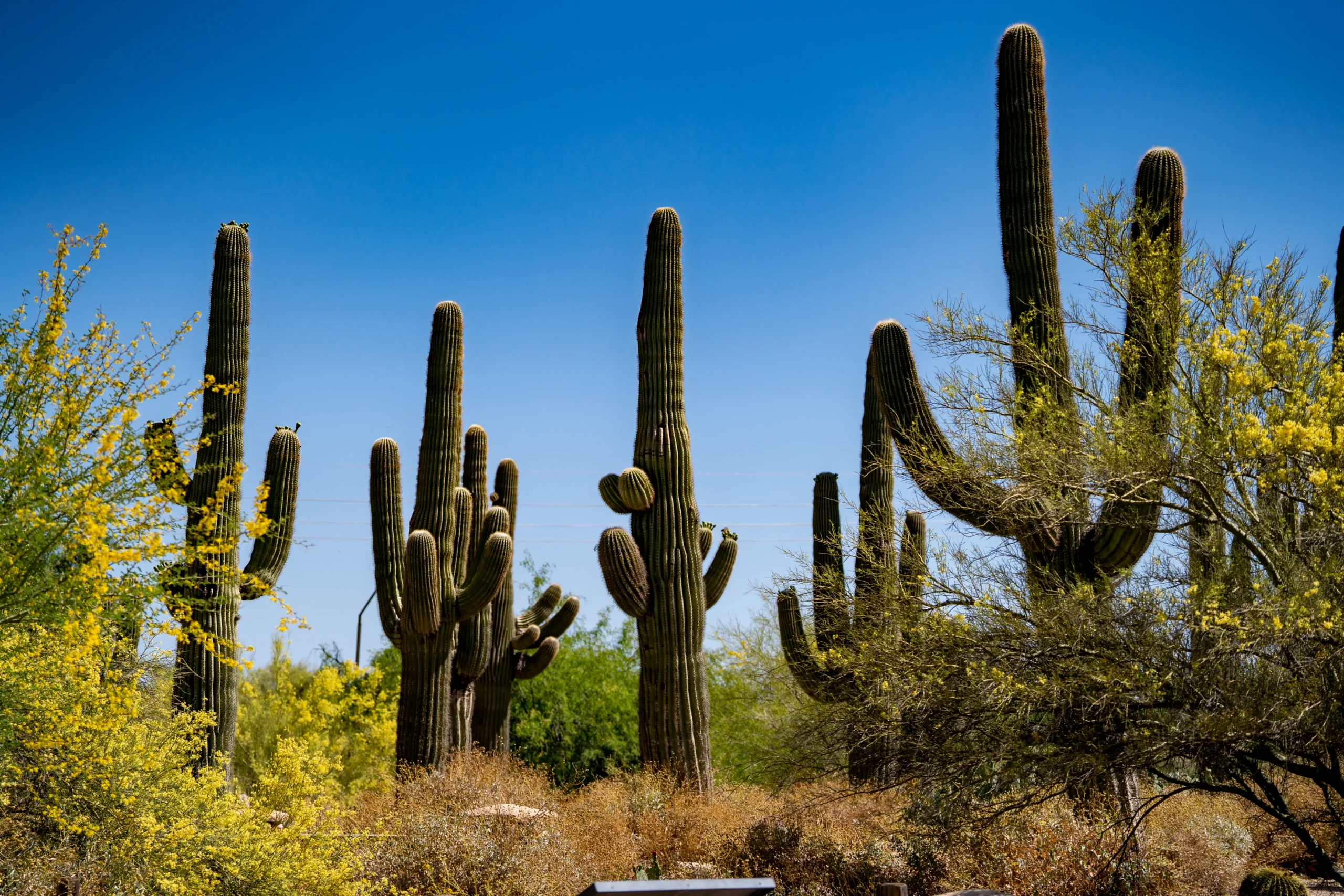 Pasea con la naturalista Sección 2 Imagen divisoria 1