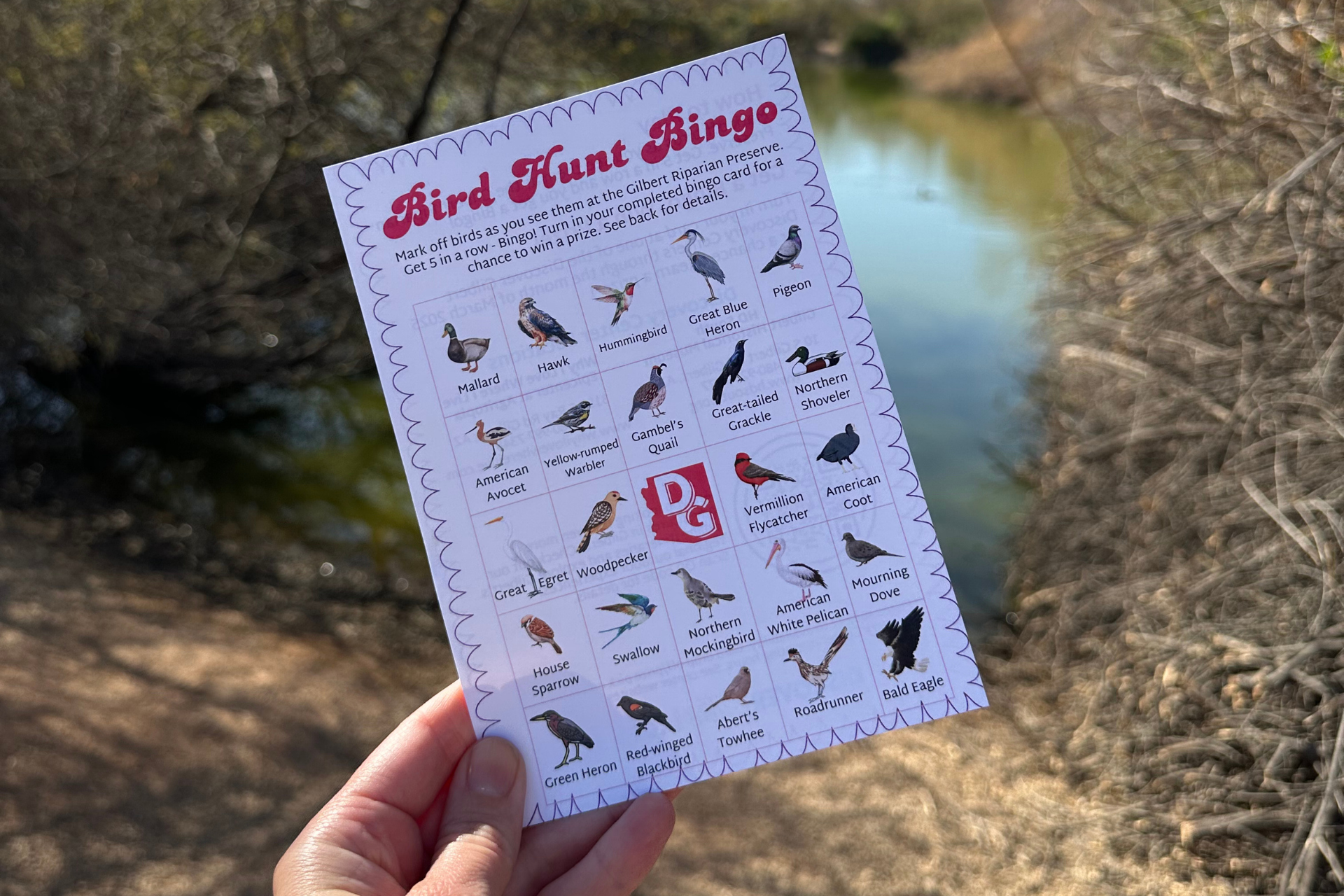 Bird Hunt Bingo Card