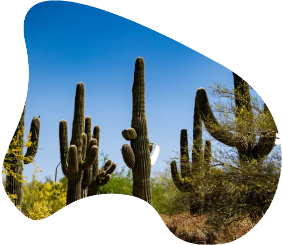 Group Getaways Section 4 Image 1