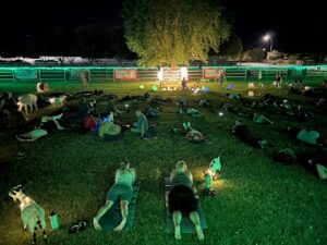 Sound Bath: Melody in the Meadow with baby goats and alpacas