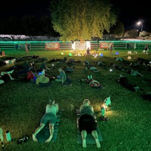 Melody In The Meadow 2 1