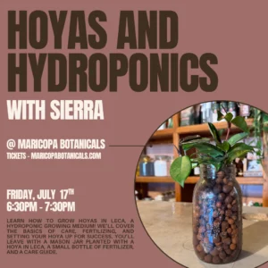 Hoyas and Hydroponics at Maricopa Botancials