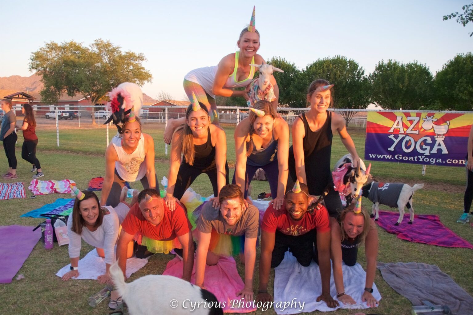 Goat Yoga Goat Yoga