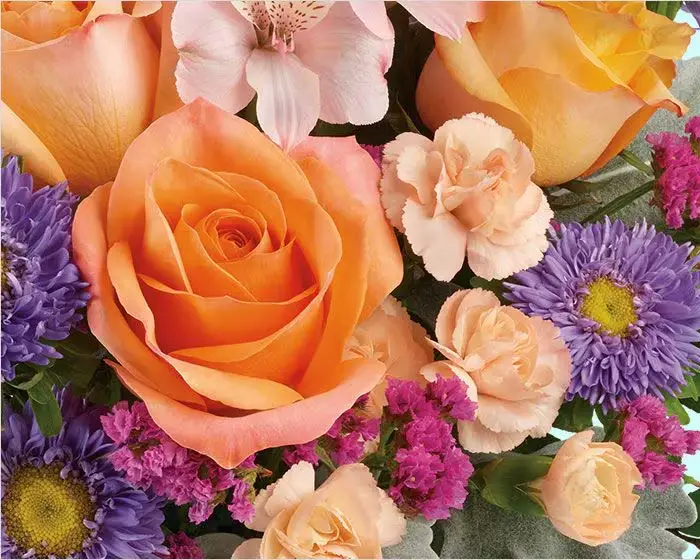 Immersion Summer Flowers