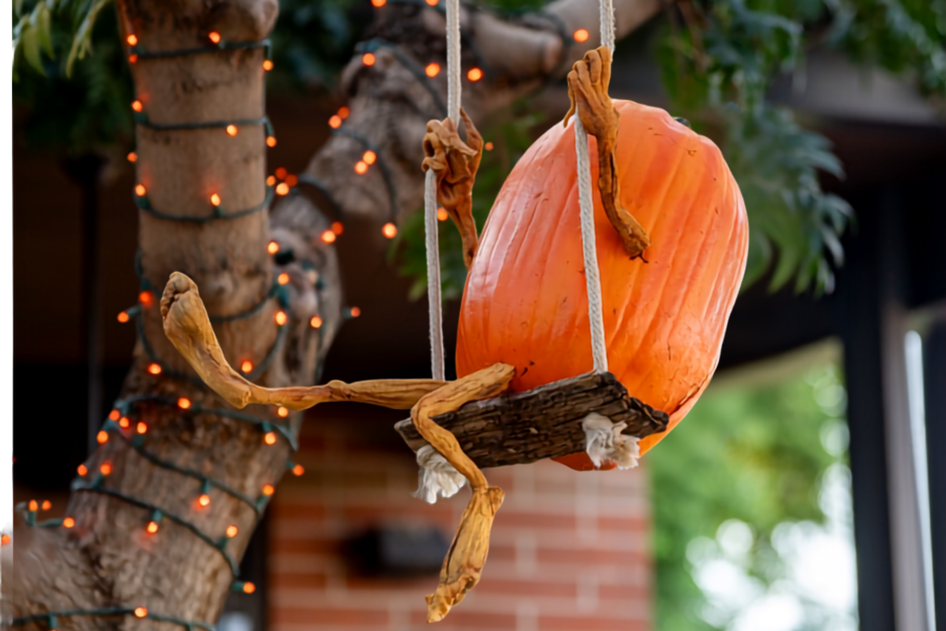 Villafane Pumpkin on Swing