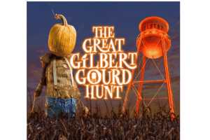 The Great Gilbert Gourd Hunt